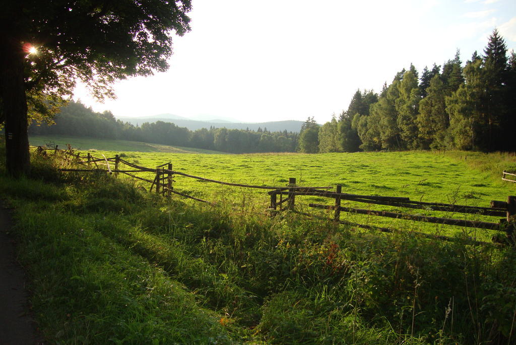 Penzion Farma Žleby Ceske Zleby Esterno foto