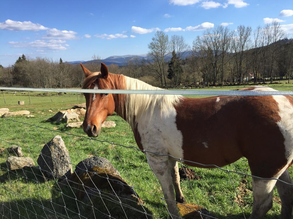 Penzion Farma Žleby Ceske Zleby Esterno foto