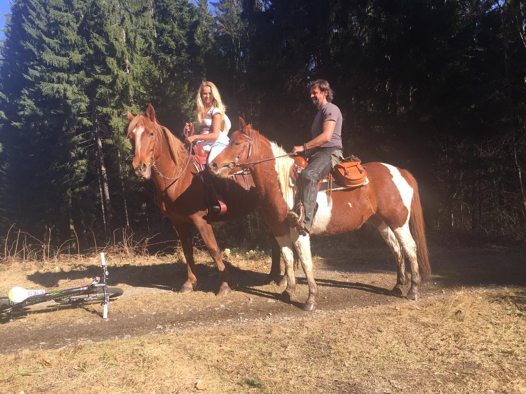 Penzion Farma Žleby Ceske Zleby Esterno foto